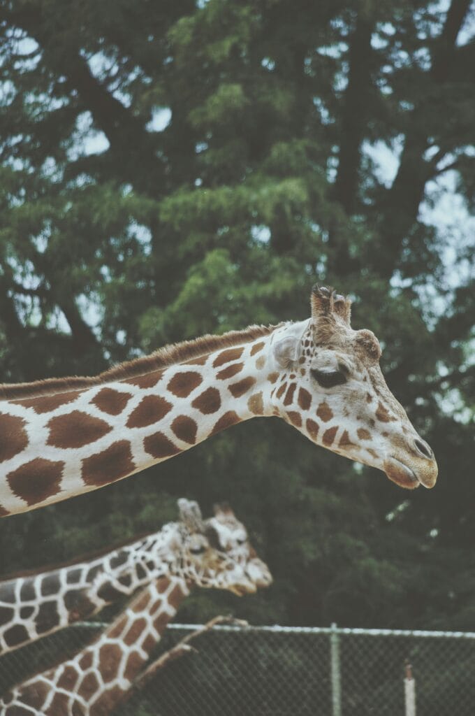 Hello World Featured Image