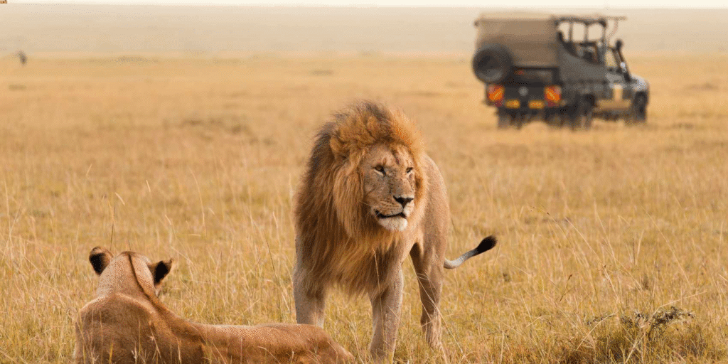 kenya safaris from nairobi